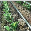 Tuyau d'irrigation anti-poussière en plastique agricole PE